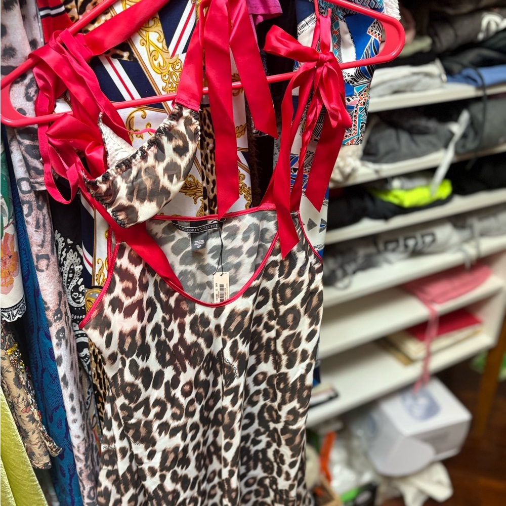 Victoria's Secret Red and Leopard Print Lingerie